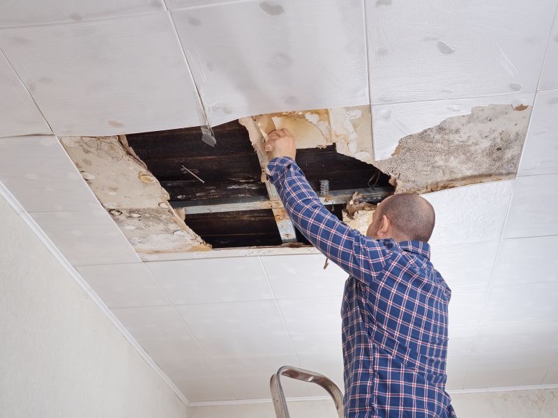Increase Your Ceiling Crack Repair Business with an AI Driven, Targeted Website
